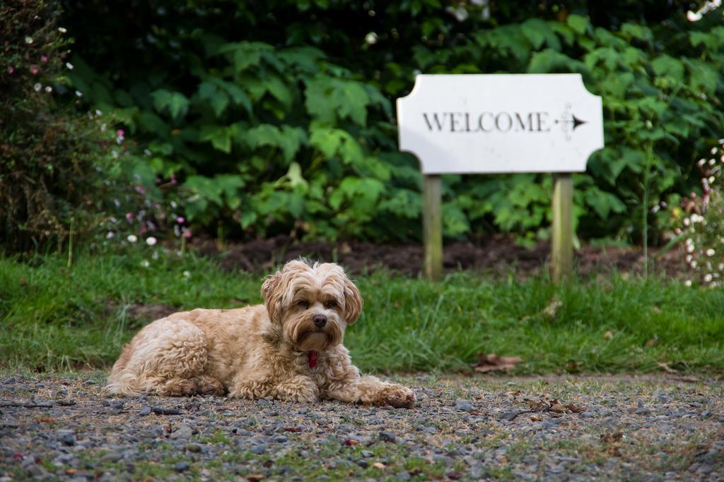 Hotel Ugbrooke Country Estate Lower Dashwood Esterno foto